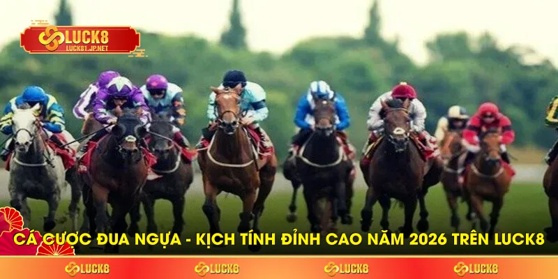 Cá Cược Đua Ngựa - Kịch Tính Đỉnh Cao Năm 2026 Trên LUCK8