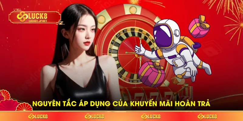 Nguyên tắc áp dụng của khuyến mãi hoàn trả